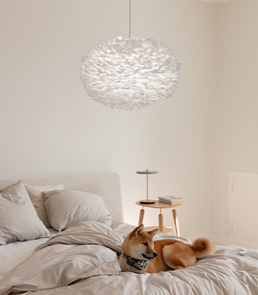 Lámpara colgante esponjosa para crear un ambiente cálido y relajante en un dormitorio moderno con un perro descansando