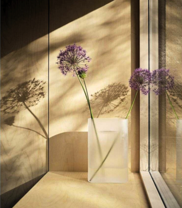 Florero minimalista de Muuto con delicadas flores de allium, escenificado a la cálida luz del sol con un poético juego de sombras en la pared.